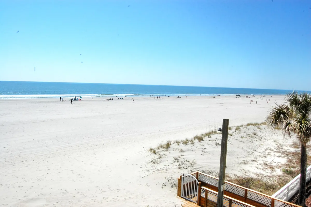 A wide-angle view of a sandy beach with the ocean stretching into the distance. People can be seen walking along the shoreline, and a palm tree adds a tropical touch to the foreground. The scene exudes relaxation and the promise of beachside fun.